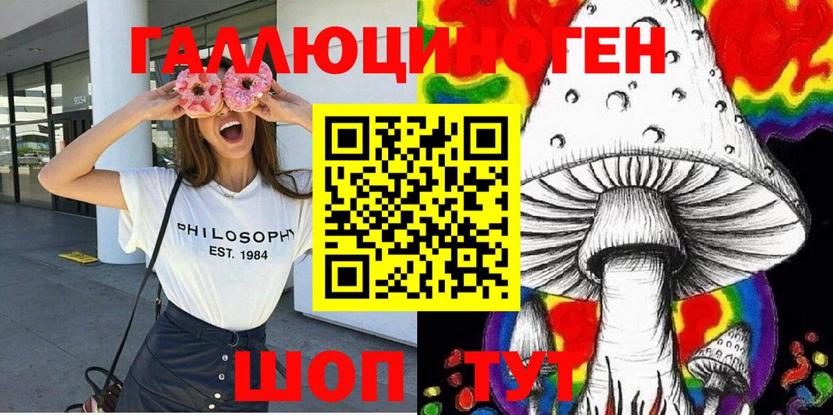 Псилоцибиновые грибы Psilocybine cubensis Елизово