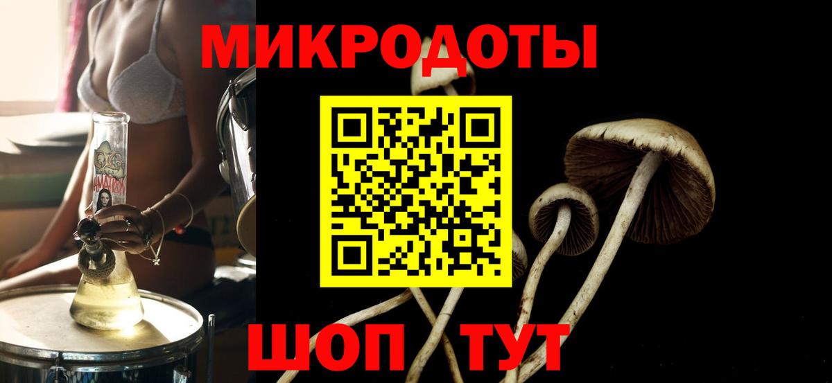 Галлюциногенные грибы ЛСД  Галлюциногенные грибы Psilocybine cubensis  Вход с VPN  Елизово 